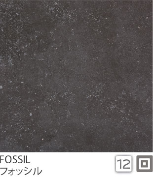 FOSSIL