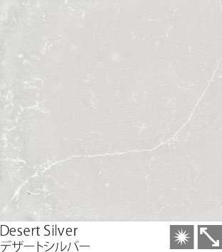 Desert Silver